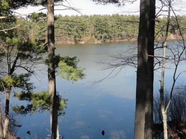 Lot 16, a buildable wooded lot on Nepco Lake, Central Wis. Build - photo 37