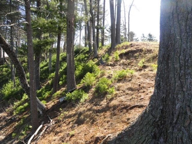 Lot 16, a buildable wooded lot on Nepco Lake, Central Wis. Build - photo 43