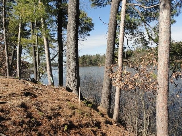 Lot 16, a buildable wooded lot on Nepco Lake, Central Wis. Build - photo 44