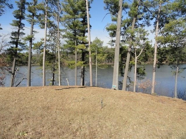 Lot 16, a buildable wooded lot on Nepco Lake, Central Wis. Build - photo 49