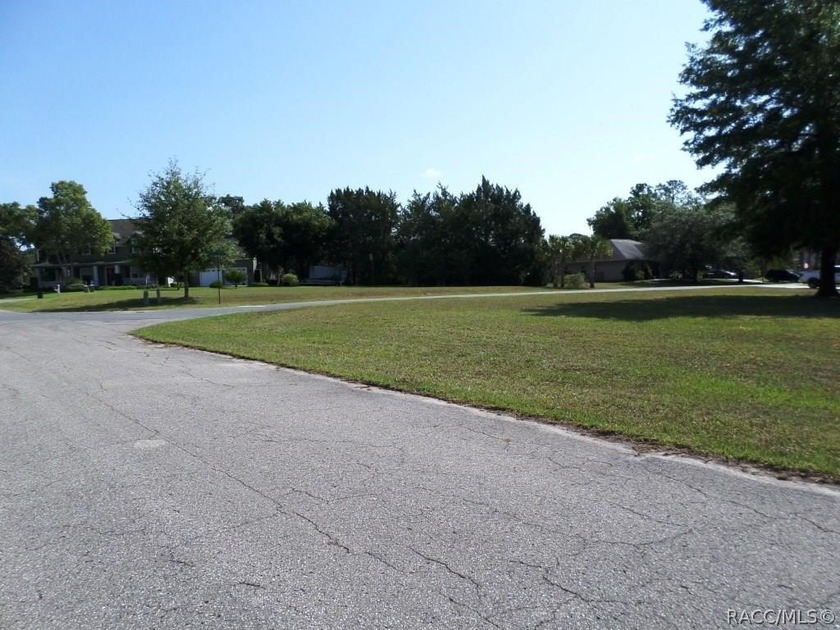 Fantastic opportunity to create your ideal residence on this - photo 5