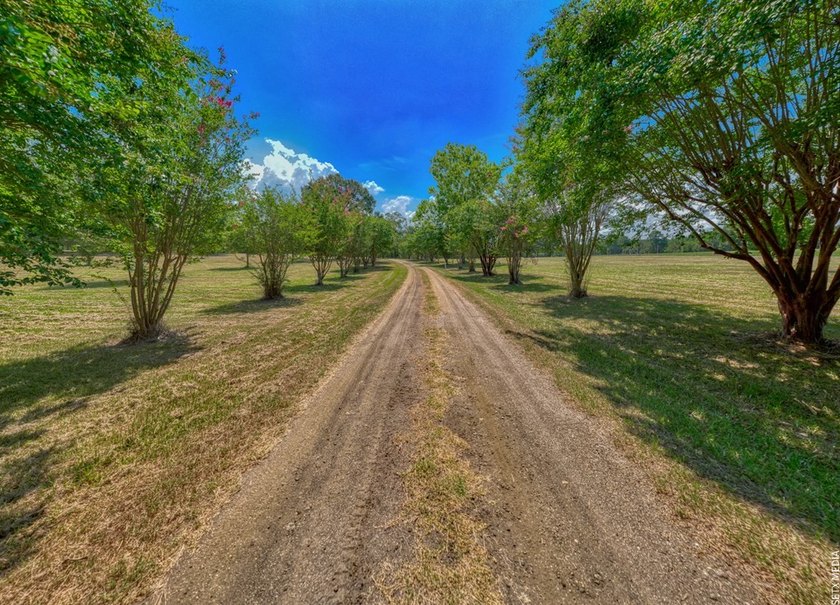 Luxury country living meets East Texas charm on this stunning 14 - photo 29