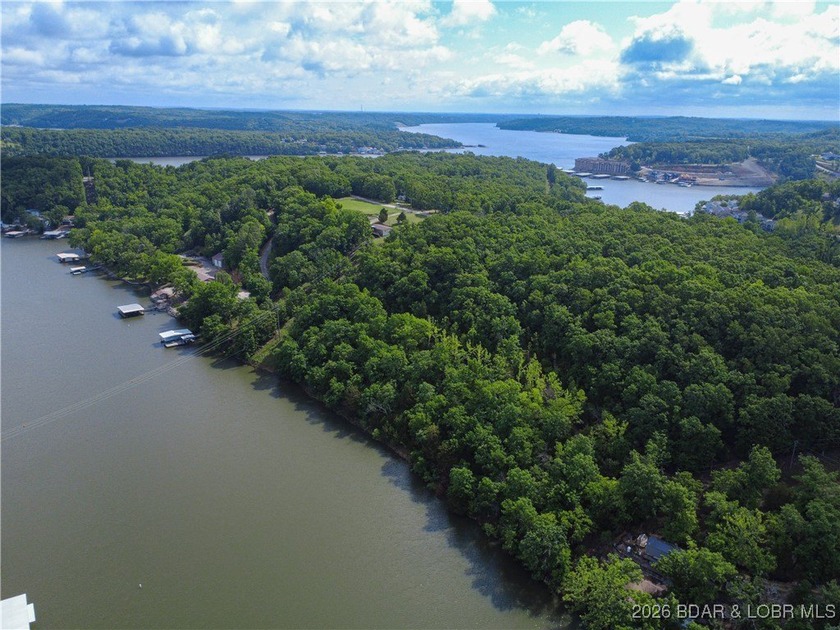 Discover this rare 9+ acre lakefront land 5 minutes from - photo 11
