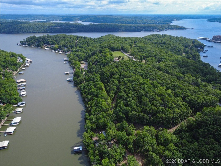 Discover this rare 9+ acre lakefront land 5 minutes from - photo 13