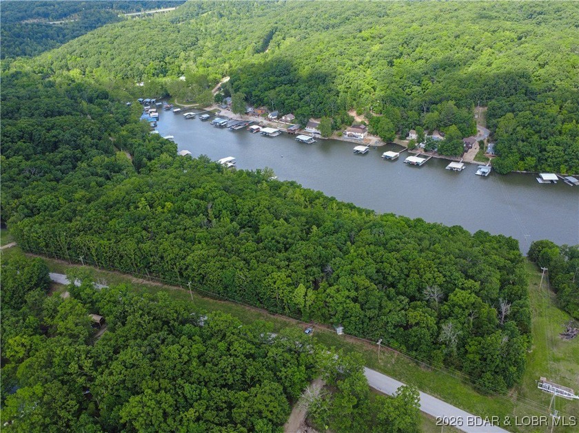 Discover this rare 9+ acre lakefront land 5 minutes from - photo 15