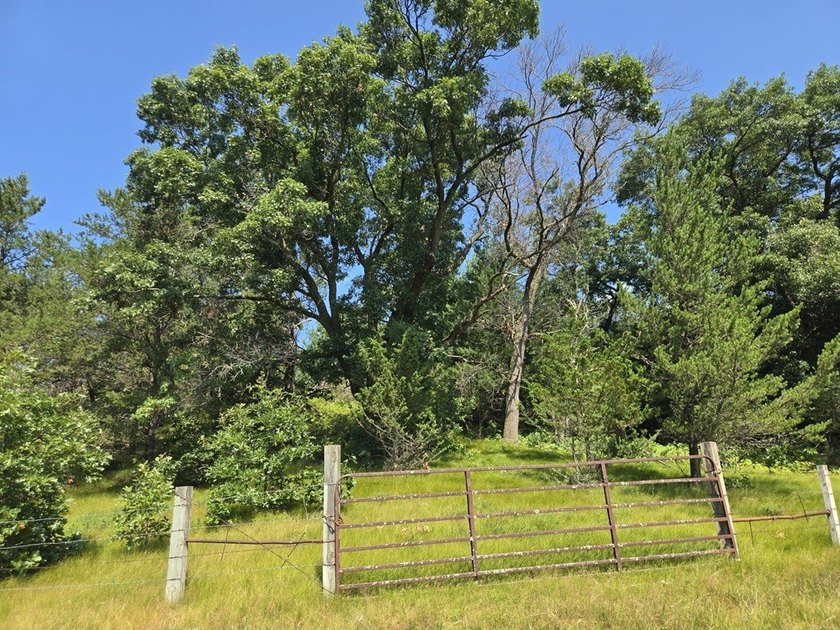 Bring your hobby farm dreams to life on this beautiful 12.5-acre - photo 48