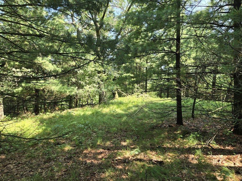 Bring your hobby farm dreams to life on this beautiful 12.5-acre - photo 49
