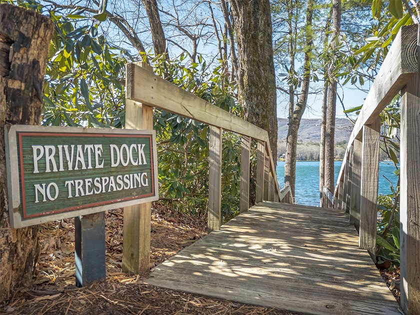 Modern Mountain Charm in Lake Toxaway Estates Experience - photo 38