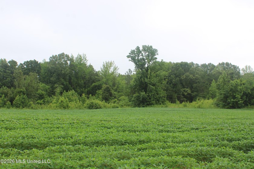 38.9 acres of vacant land located on Allen Corner Road in Benton - photo 11