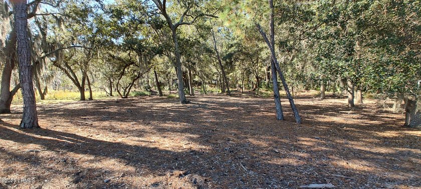 The only waterfront homesite available in Sommerset Point - photo 13