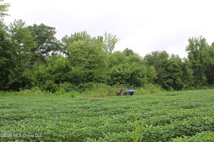 38.9 acres of vacant land located on Allen Corner Road in Benton - photo 13