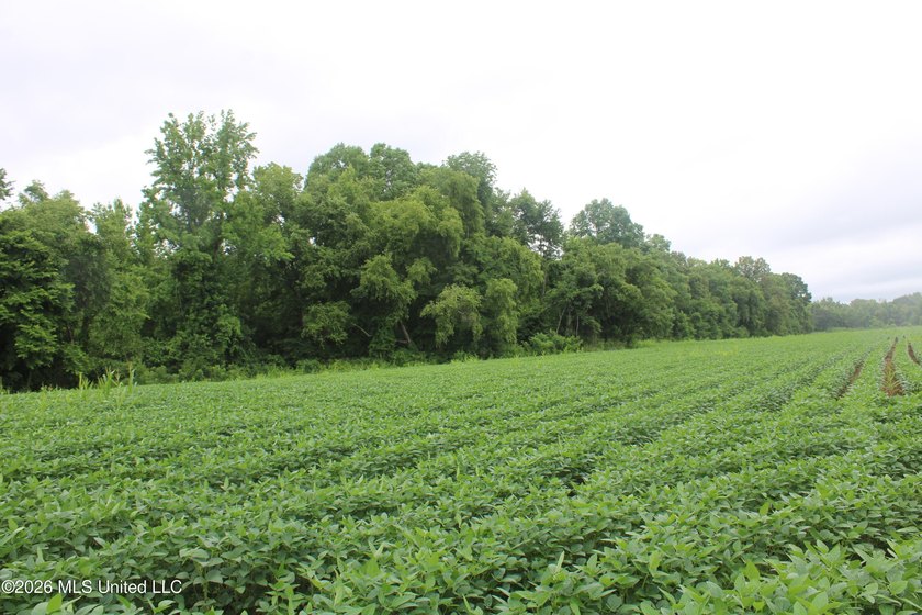 38.9 acres of vacant land located on Allen Corner Road in Benton - photo 16