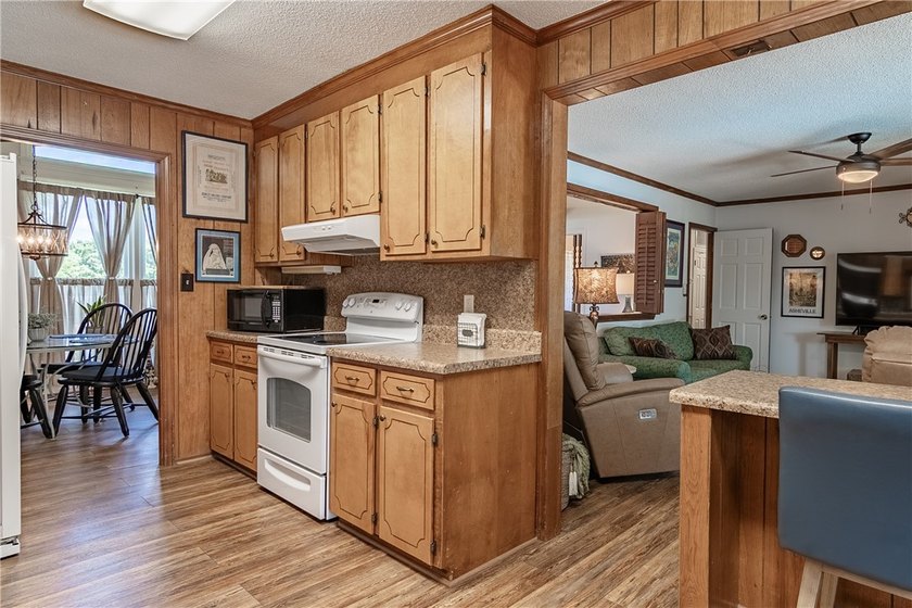 Spacious Brick Ranch with Salt-Water Pool in T.L. Hanna - photo 28