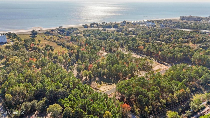 Discover an exceptional opportunity to build your custom coastal - photo 5