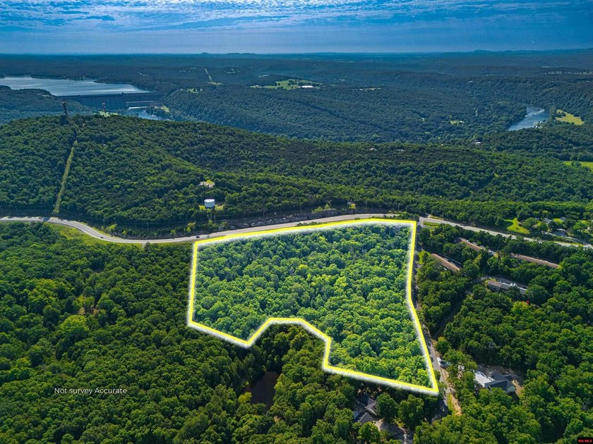 This is a fantastic opportunity, featuring 20 wooded lots - photo 2