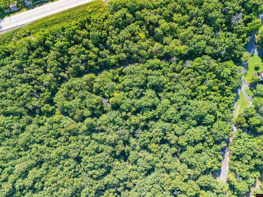 This is a fantastic opportunity, featuring 20 wooded lots - photo 7