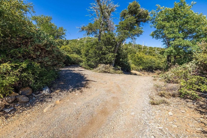 Building on this 12.06-acre parcel would present unparalleled - photo 3