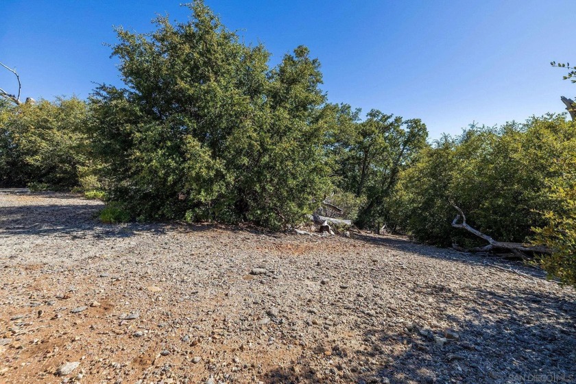 Building on this 12.06-acre parcel would present unparalleled - photo 8