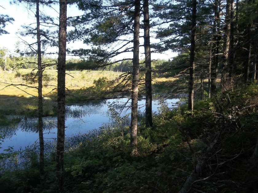 1.50 acres with 238' shorefront, power at site, driveway &amp; - photo 5