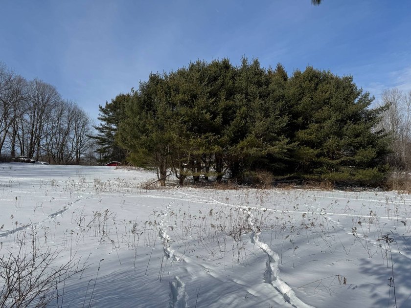 Whether looking for a building lot for your future home, a - photo 17