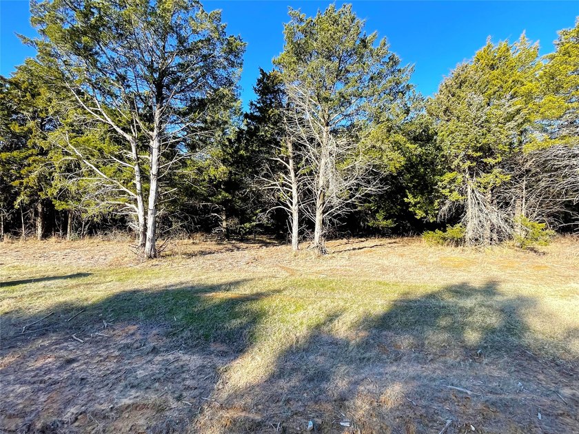 Discover this beautiful tree covered Palisades IV lot, very - photo 3