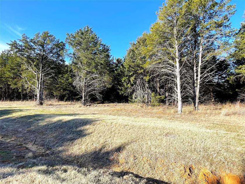 Discover this beautiful tree covered Palisades IV lot, very - photo 4
