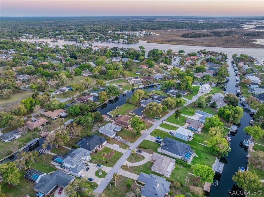 Experience the Ultimate Florida lifestyle in this stunning - photo 39