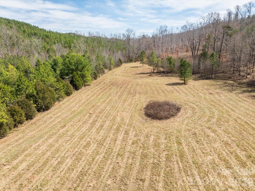 Flat, usable pastures and river frontage...look no further! This - photo 2