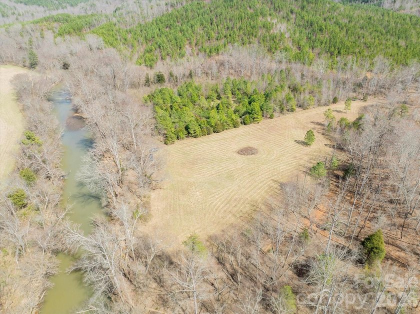 Flat, usable pastures and river frontage...look no further! This - photo 6