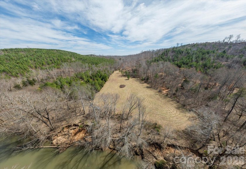 Flat, usable pastures and river frontage...look no further! This - photo 7