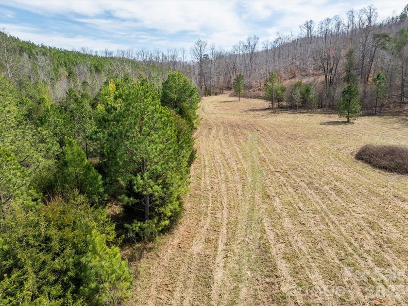 Flat, usable pastures and river frontage...look no further! This - photo 9