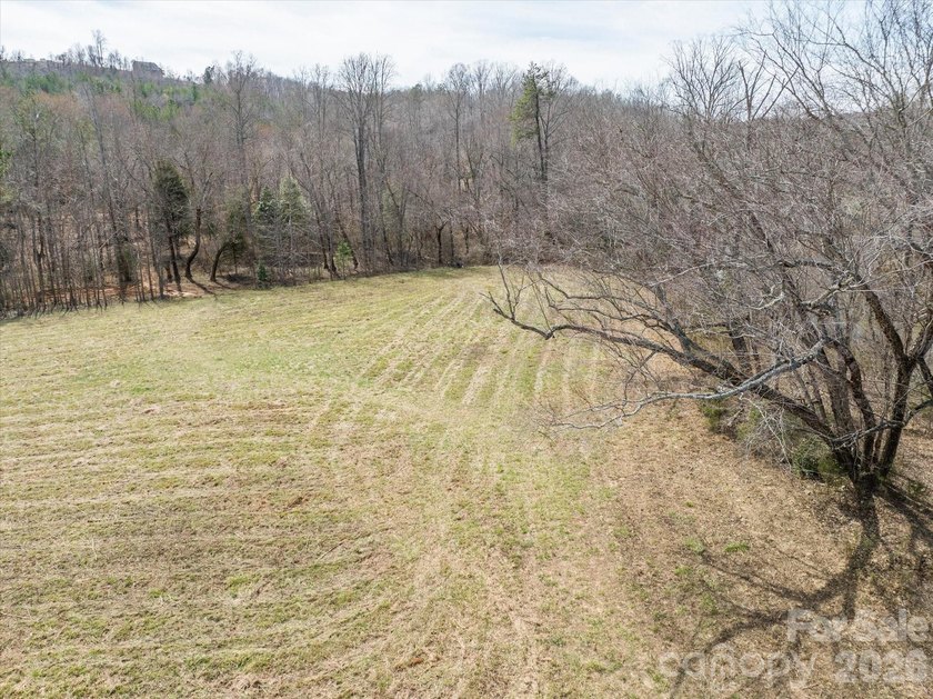Flat, usable pastures and river frontage...look no further! This - photo 10