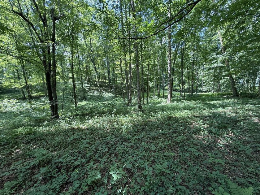 Welcome to Lot Number 20, a hidden gem nestled in the Newpointe - photo 11