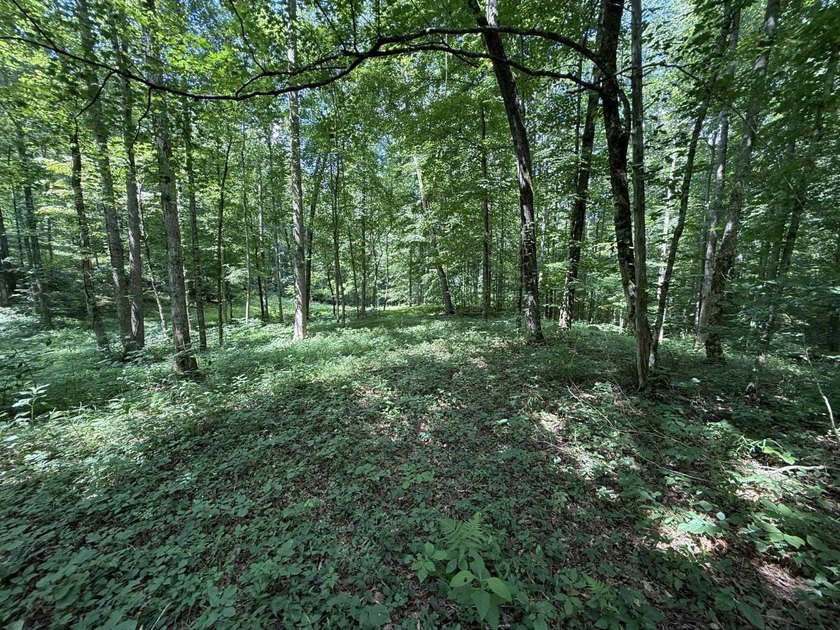 Welcome to Lot Number 20, a hidden gem nestled in the Newpointe - photo 12