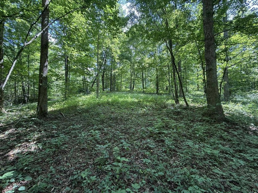 Welcome to Lot Number 20, a hidden gem nestled in the Newpointe - photo 13