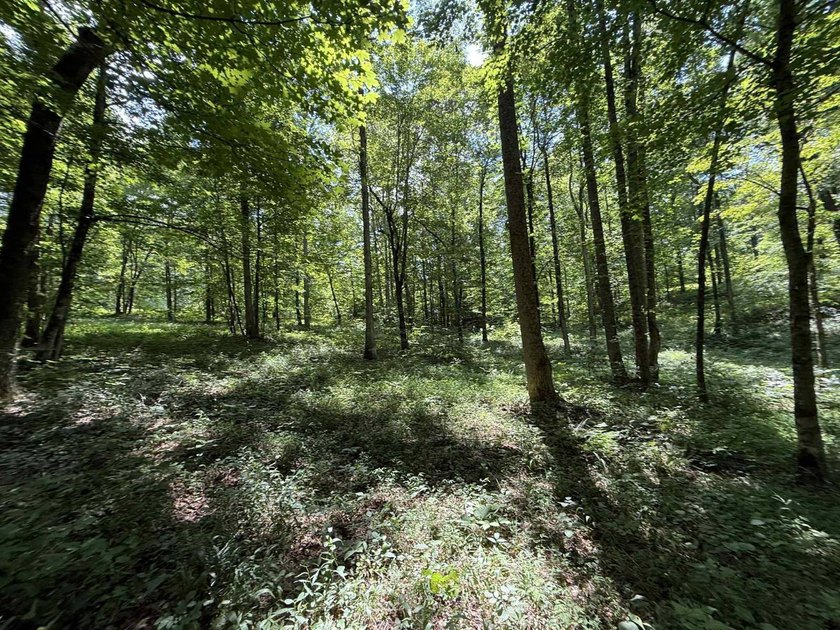 Welcome to Lot Number 20, a hidden gem nestled in the Newpointe - photo 14