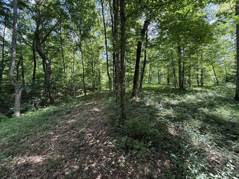 Welcome to Lot Number 20, a hidden gem nestled in the Newpointe - photo 15