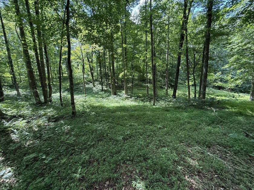 Welcome to Lot Number 20, a hidden gem nestled in the Newpointe - photo 16