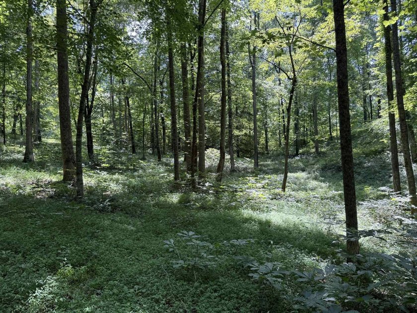 Welcome to Lot Number 20, a hidden gem nestled in the Newpointe - photo 17