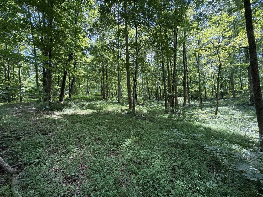 Welcome to Lot Number 20, a hidden gem nestled in the Newpointe - photo 18