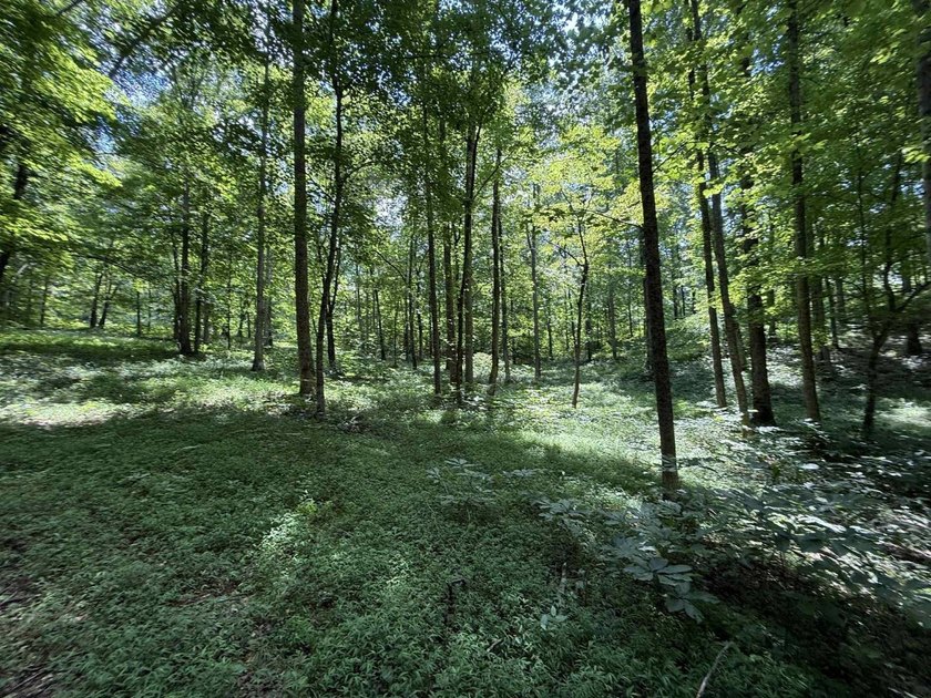 Welcome to Lot Number 20, a hidden gem nestled in the Newpointe - photo 19