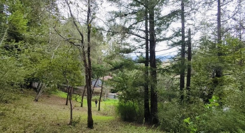 Rare opportunity in Bear Creek Estates! Sunny end-of-cul-de-sac - photo 4