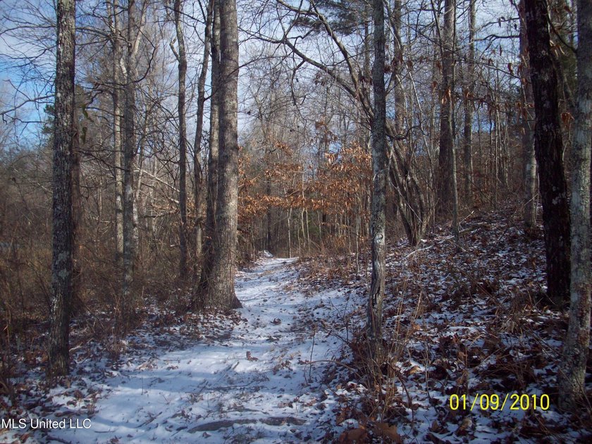 25 Acres on Lafayette Lake- Only 10 Minutes From Oxford, MS! - photo 2
