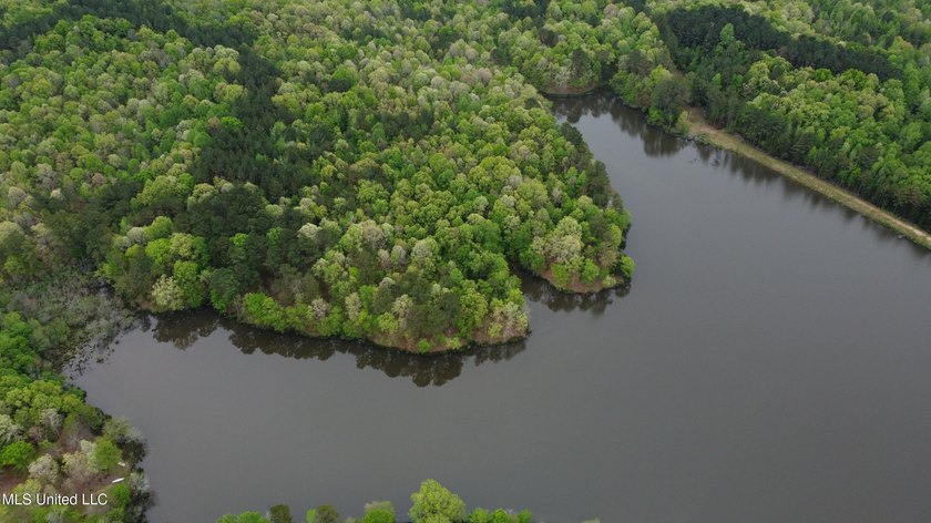 25 Acres on Lafayette Lake- Only 10 Minutes From Oxford, MS! - photo 3