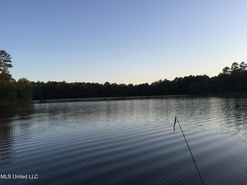25 Acres on Lafayette Lake- Only 10 Minutes From Oxford, MS! - photo 5