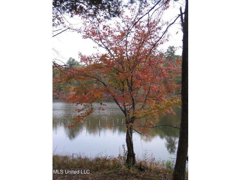 25 Acres on Lafayette Lake- Only 10 Minutes From Oxford, MS! - photo 7