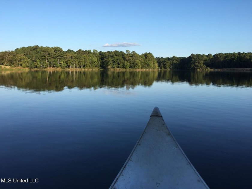 25 Acres on Lafayette Lake- Only 10 Minutes From Oxford, MS! - photo 10