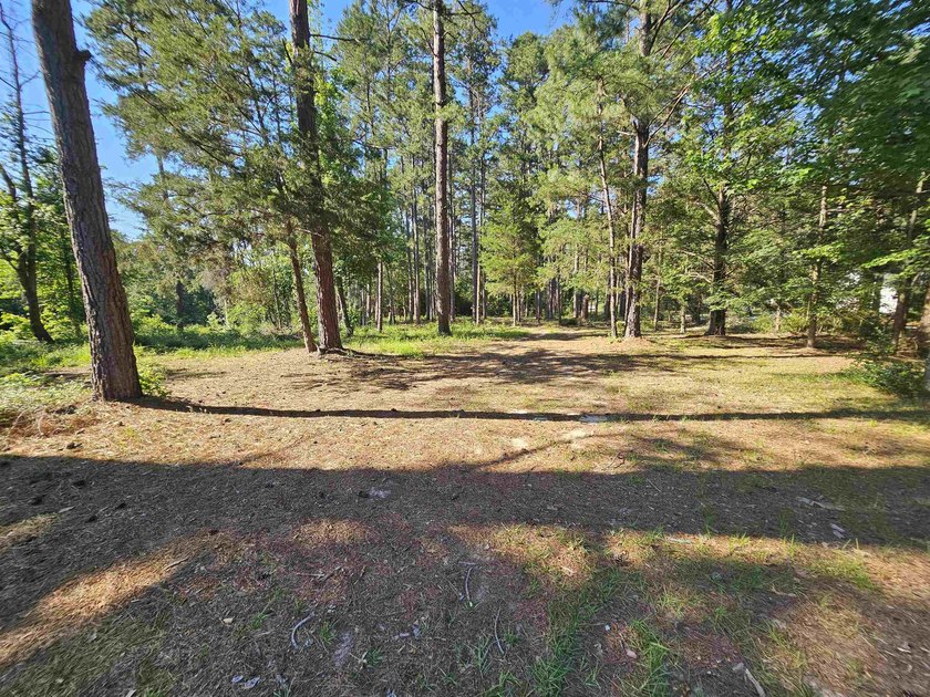 Tucked away in the gated community of Holly Lake Ranch, this - photo 44