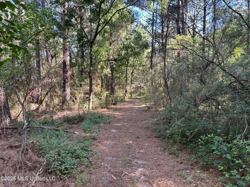 This 30-acre tract in Harrison County, Mississippi, represents a - photo 11