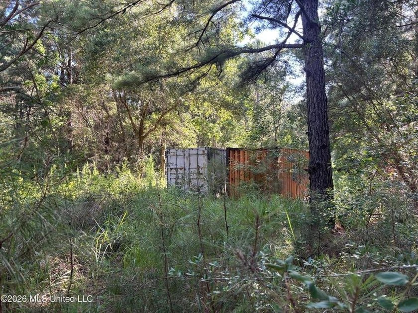 This 30-acre tract in Harrison County, Mississippi, represents a - photo 12